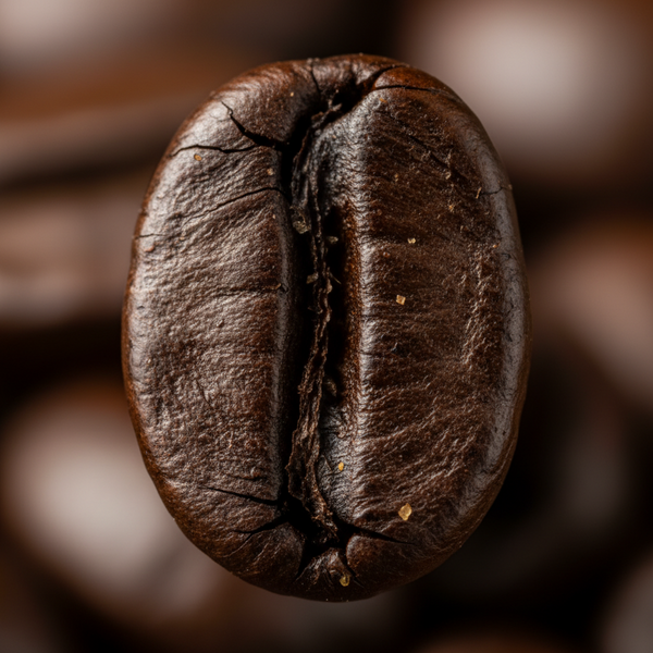 Coffee Grounds (Coffea arabica)