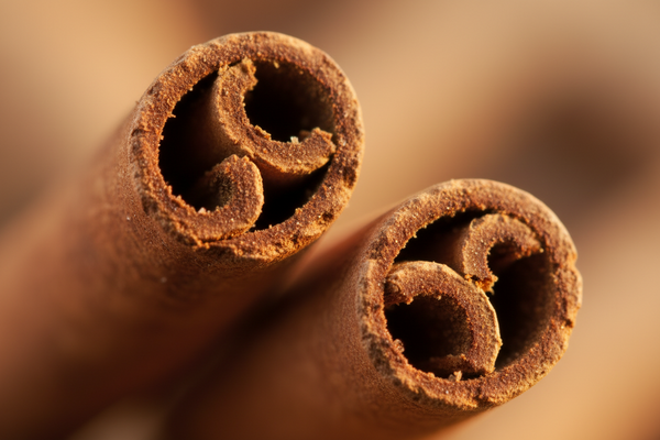 Cinnamon (Cinnamomum verum)