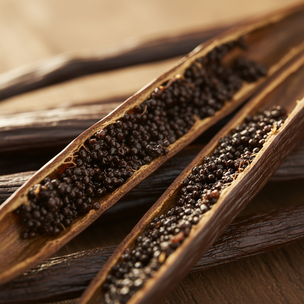 Vanilla (Vanilla planifolia)